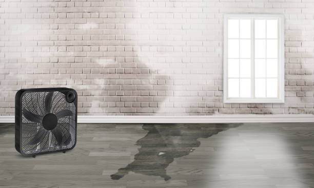 Best 24/7 water damage repair  in Columbia, TN